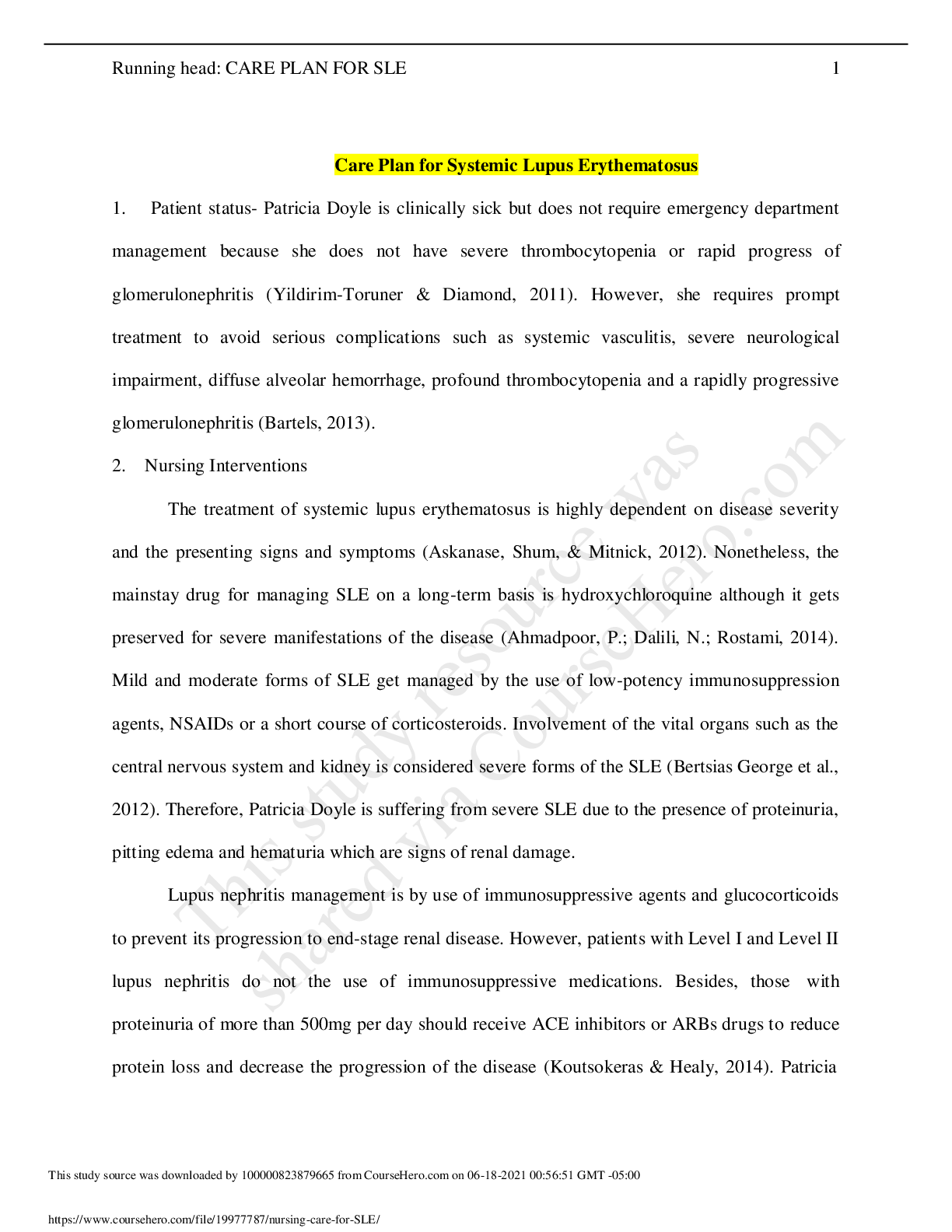 Preview of SLE Patricia Doyle : Care Plan for Systemic Lupus Erythematosus ( complete)